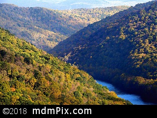 Youghiogheny Gorge (Canyons) picture