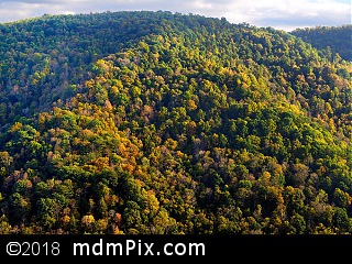 Chestnut Ridge (Ridges) picture