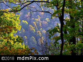 Youghiogheny Gorge (Canyons) picture