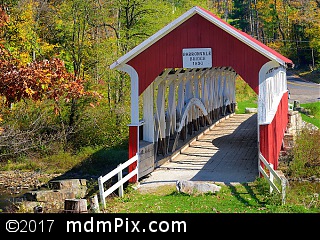 Barronvale Covered Bridge (Covered Bridges) picture