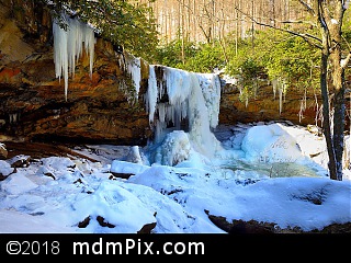 Cucumber Falls (Waterfalls) picture