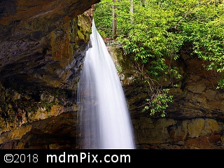 Cucumber Falls (Waterfalls) picture