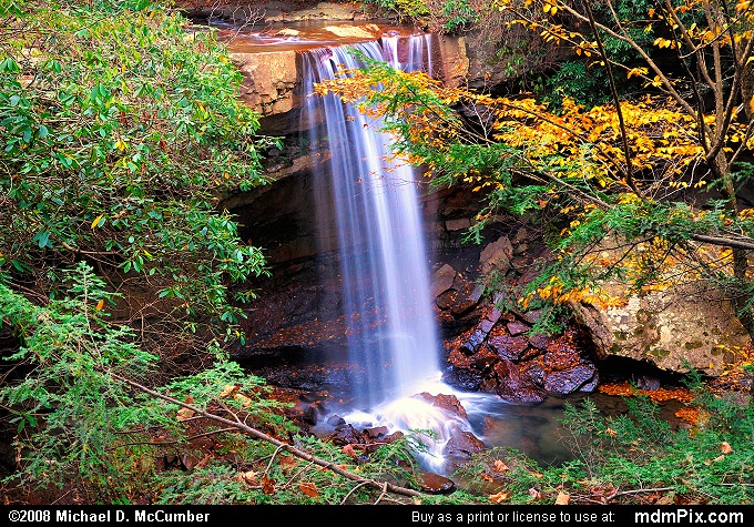 View from Cucumber Falls Gorge Rim Area