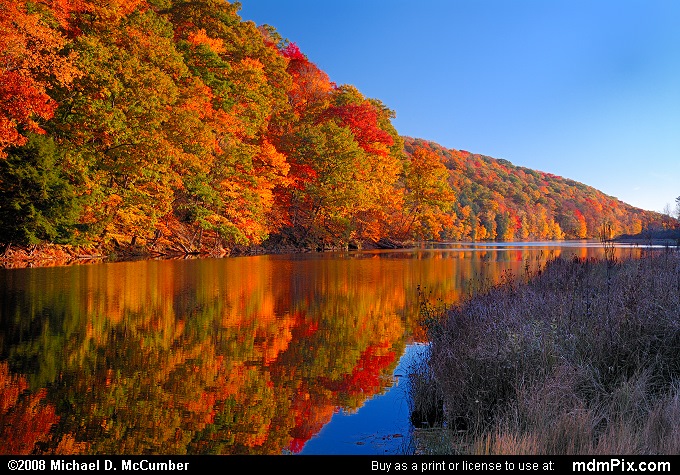 View from Laurel Hill Creek and Lake Marsh Area