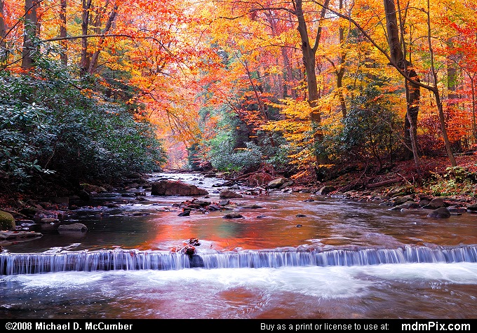 Dunbar Creek Picture 004 - October 25, 2006 from PA State Game Land 51 ...