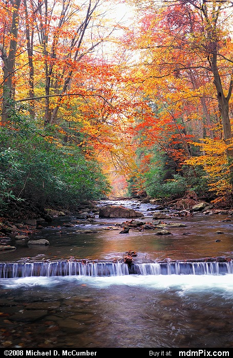 Dunbar Creek Picture 005 - October 25, 2006 from PA State Game Land 51 ...