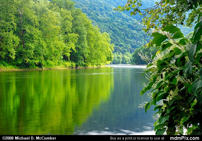 what happened on the youghiogheny river in elizabeth township, regarding sewage discharge? what happened on the youghiogheny river in elizabeth township, regarding sewage discharge?