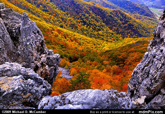 Window of Tuscarora Sandstone on North Fork Mountain Picture (Cabins ...