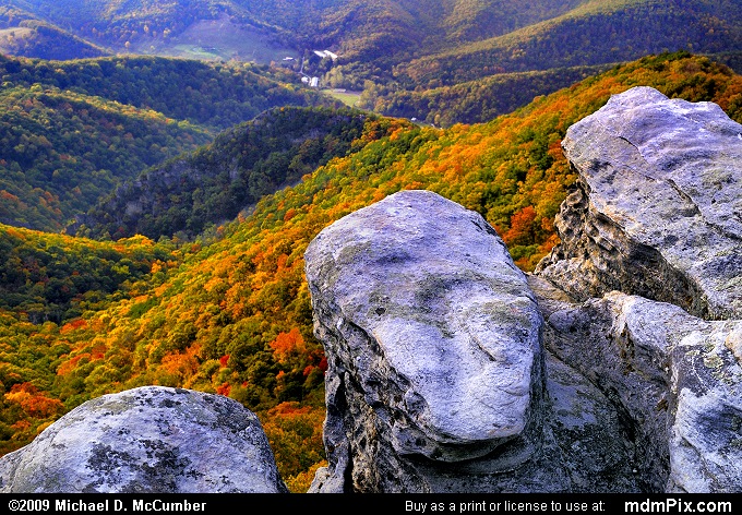 Pillars of Tuscarora Sandstone on North Fork Mountain Picture (Spruce ...