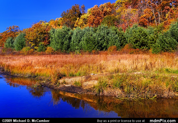 Cranberry Glade Lake Picture 055 - October 21, 2009 from PA State Game Land  111 