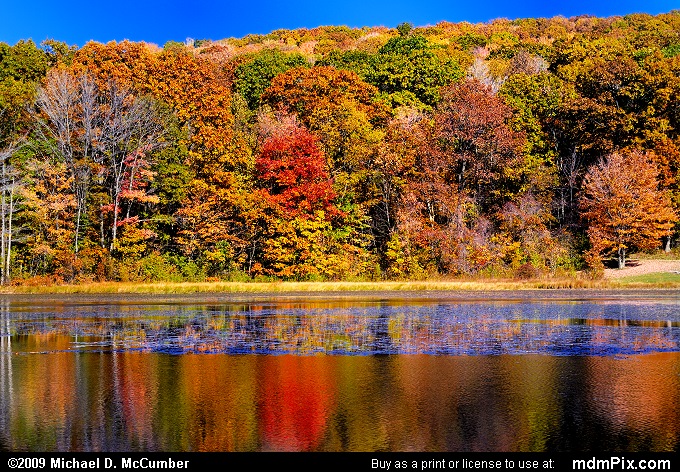 Cranberry Glade Lake Picture 058 - October 21, 2009 from PA State Game Land  111 