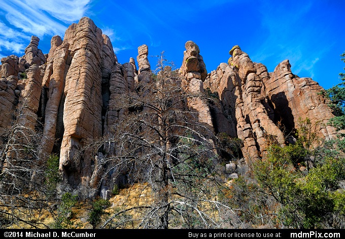 Organ Pipe Formation (Organ Pipe Formation Picture 051 - February 4, 2014 from Chiricahua National Monument, Arizona)