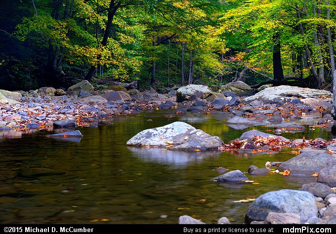 Dunbar Creek Picture 101 - October 8, 2015 from PA State Game Land 51 ...