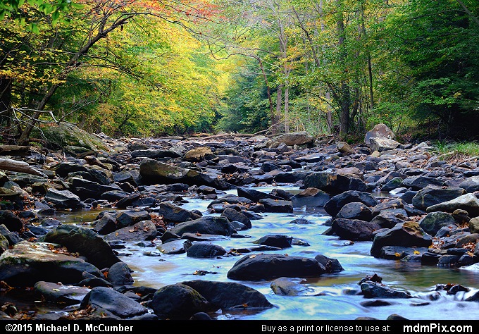 Dunbar Creek Picture 103 - October 8, 2015 from PA State Game Land 51 ...