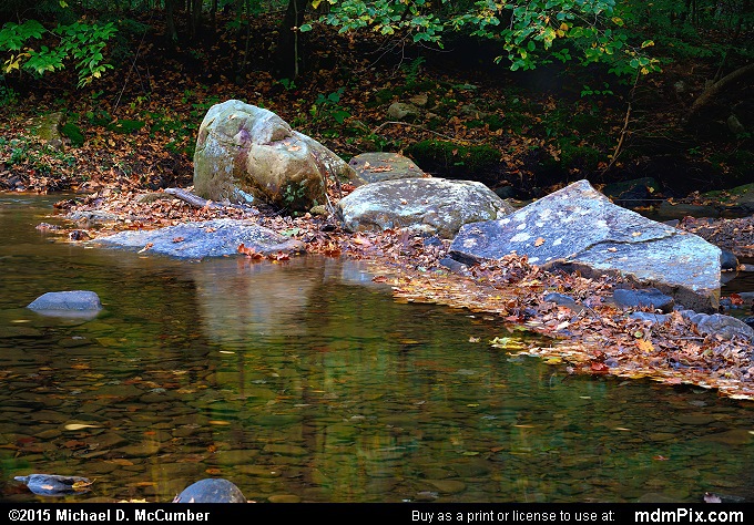 Dunbar Creek Picture 104 - October 8, 2015 from PA State Game Land 51 ...