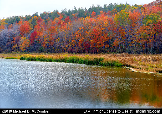 Somerset Lake Picture 002 - October 19, 2016 from Somerset ...