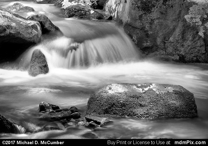 Casparis Laurel Run (Casparis Laurel Run Black and White Picture 001 - June 25, 2017 from PA State Game Land 51)